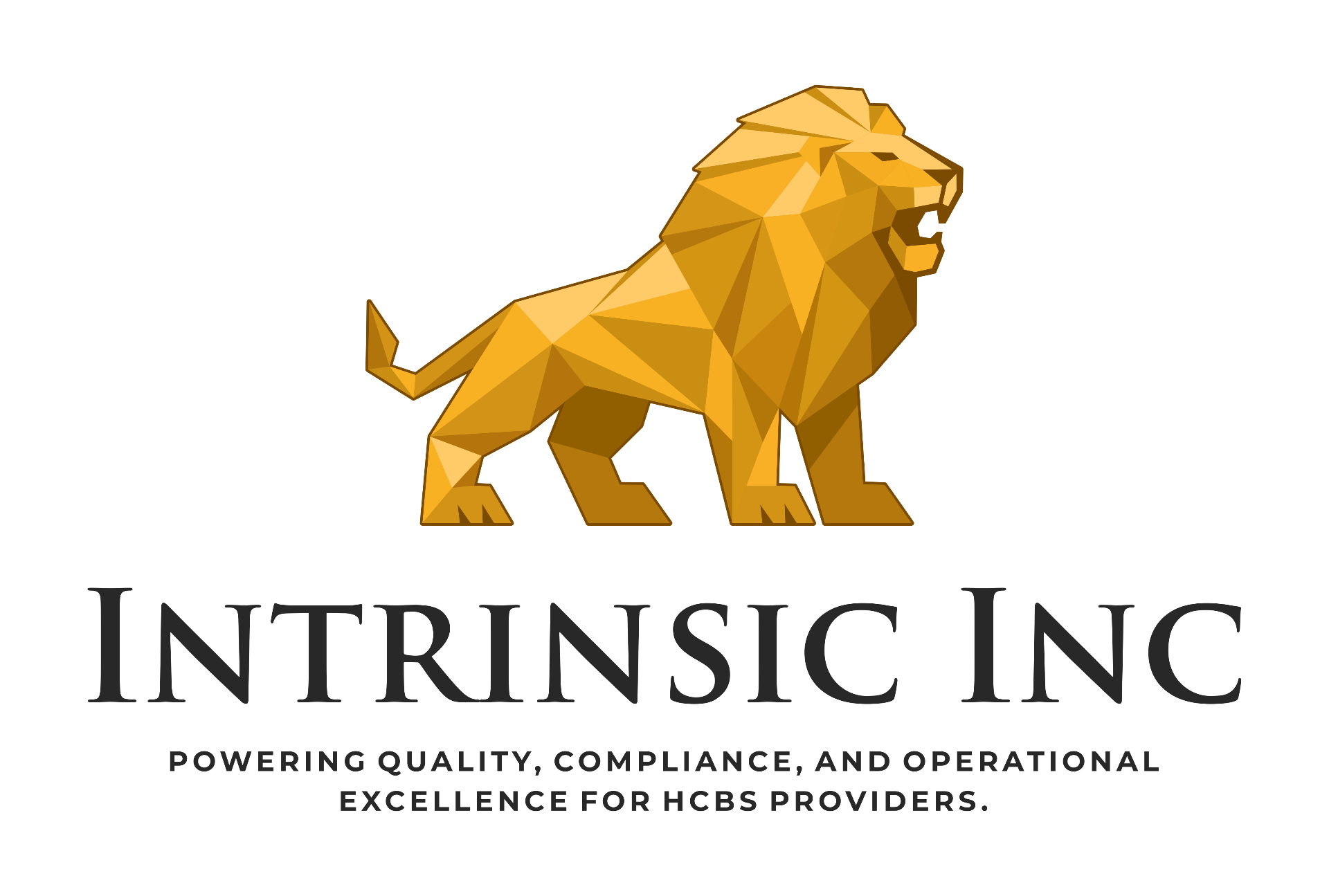 Intrinsic Inc.